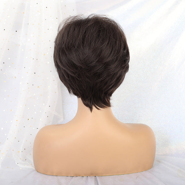 Inhair Cube Short Straight Synthetic Hair Wig 10"with Natural Bangs Pixie Cut with Highlights For Women Fluffy Free Shipping